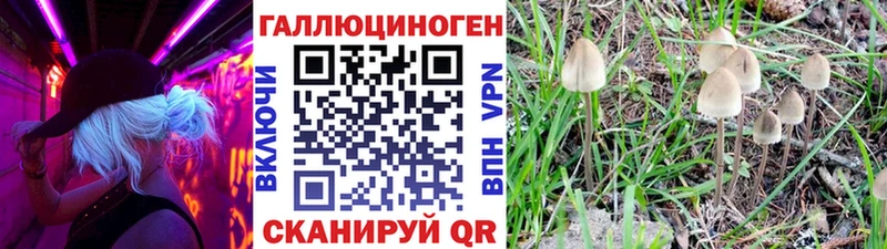 Псилоцибиновые грибы мухоморы  Пушкино 